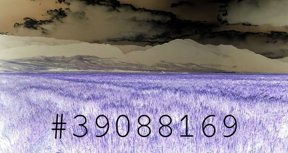 Veranstaltung: Anachronism 39088169 Anachronism 39088169