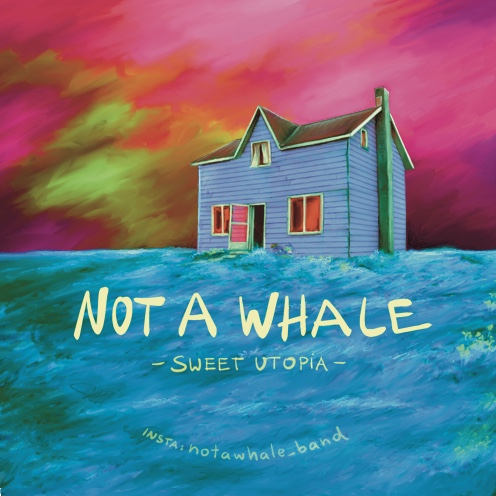 Veranstaltung: LIVE: NOT A WHALE LIVE: NOT A WHALE