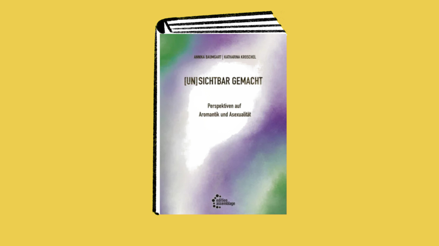 (Un)sichtbar gemacht - Perspektiven auf Aromantik und Asexualität