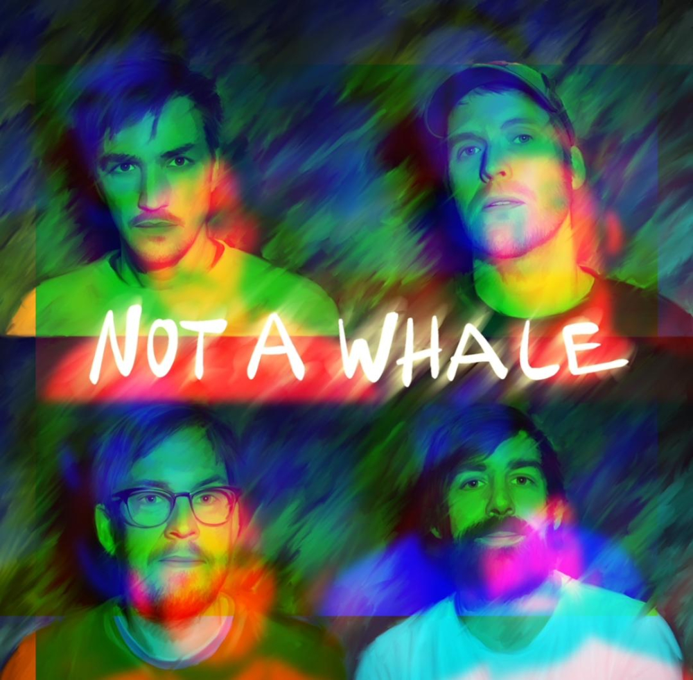 Veranstaltung: LIVE: Not a whale LIVE: Not a whale