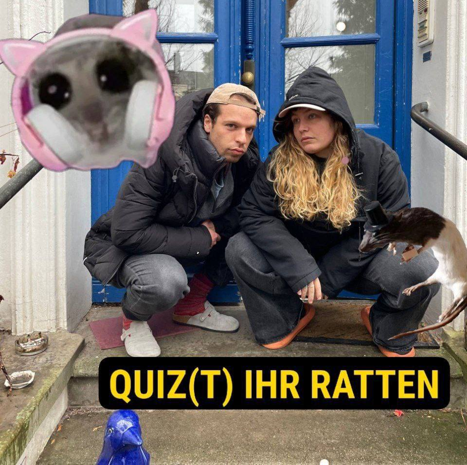 Quiz(t) ihr Ratten